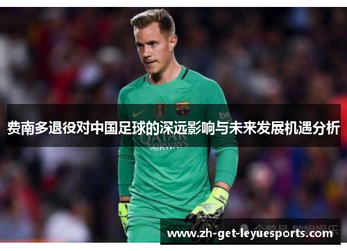 费南多退役对中国足球的深远影响与未来发展机遇分析