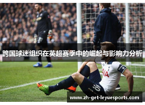 跨国球迷组织在英超赛季中的崛起与影响力分析