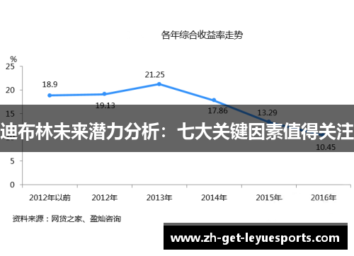 迪布林未来潜力分析：七大关键因素值得关注