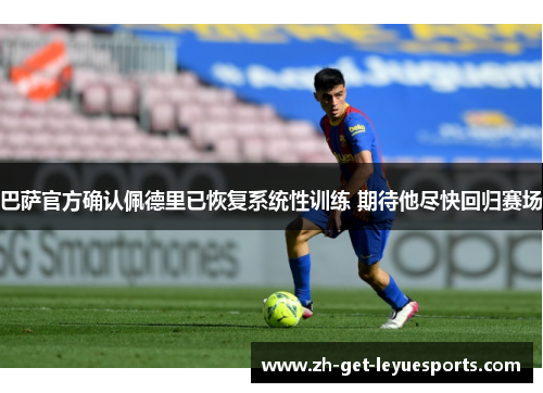 巴萨官方确认佩德里已恢复系统性训练 期待他尽快回归赛场 巴萨官方确认佩德里已恢复系统性训练 期待他尽快回归赛场