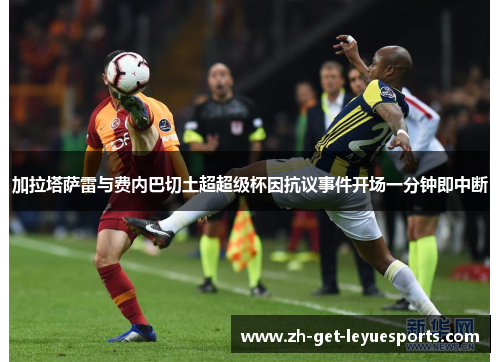 加拉塔萨雷与费内巴切土超超级杯因抗议事件开场一分钟即中断 加拉塔萨雷与费内巴切土超超级杯因抗议事件开场一分钟即中断